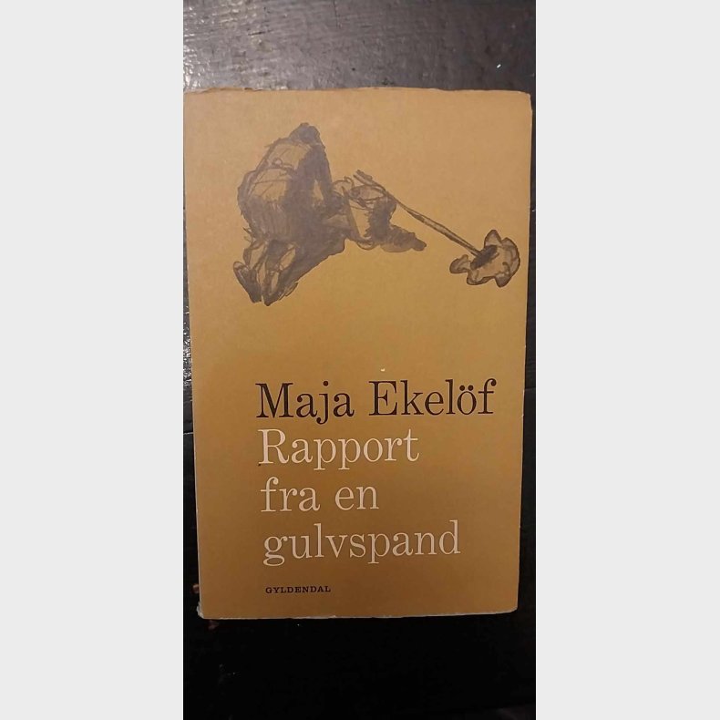 Rapport fra en gulvspand