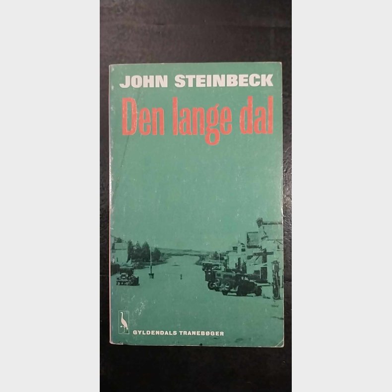 Den lange dal