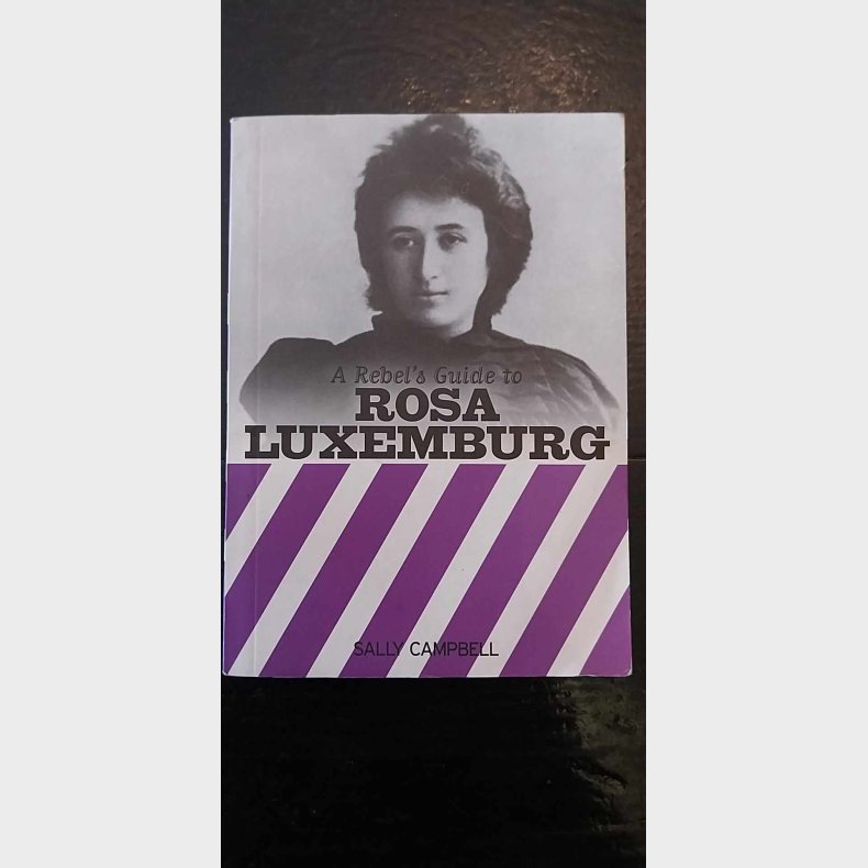 A Rebel's Guide to Rosa Luxemburg 